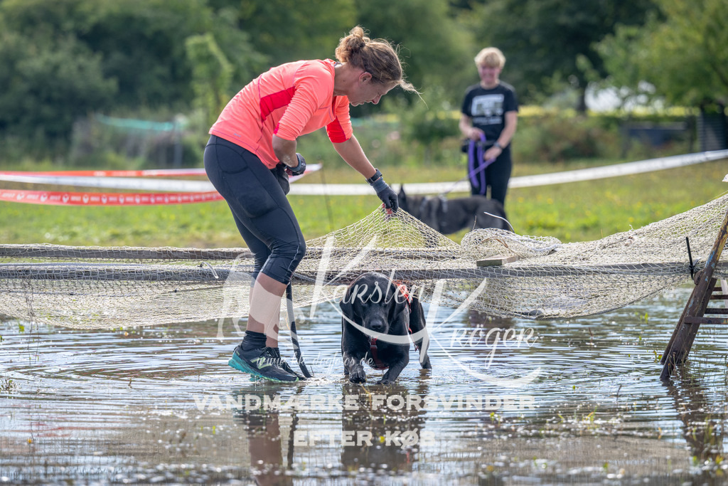 1237_ZZ91010 | kk-dogfotos