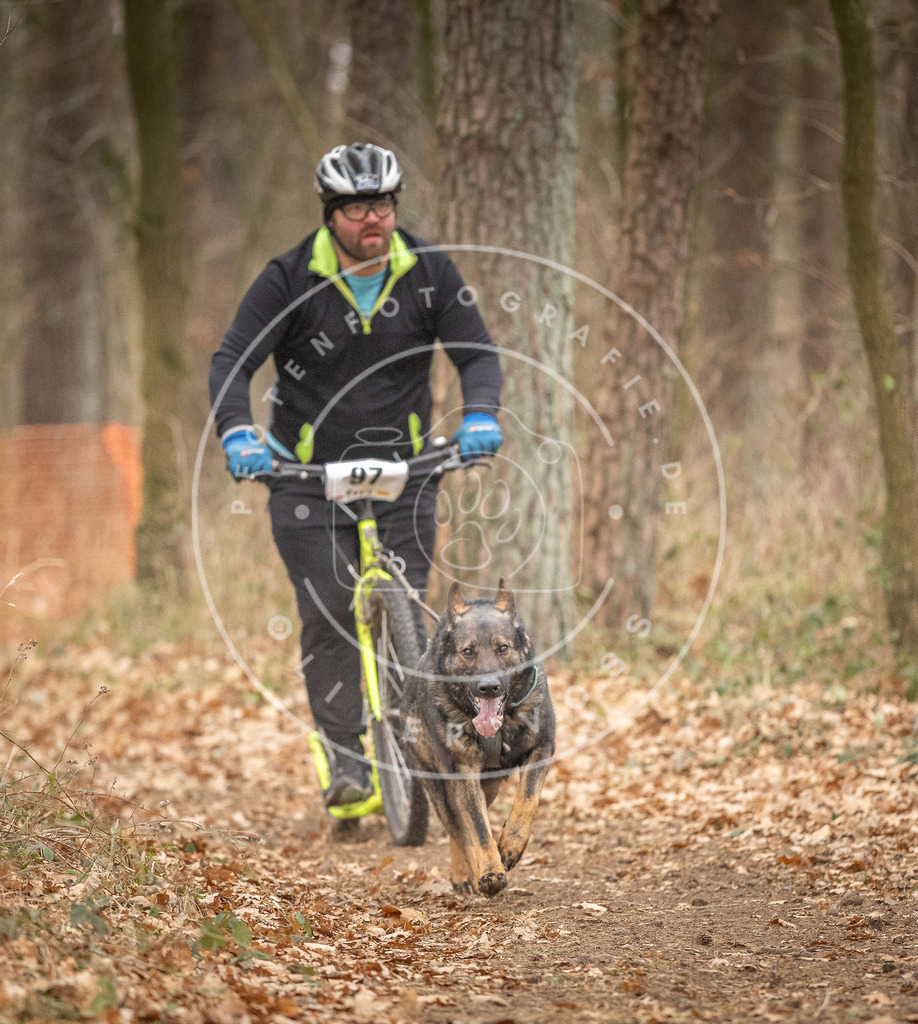 Pfotenfotografie_DV3A7380 | Hundefotografie, Tierfotograf, Pfotenfotografie, Fotoshooting Hund, Hunde Portrait, Hundesport, Hundeportraits, Heideshooting, Hunde, Sportfotograf, Hundefotograf, Turnierhundsport, THS,  - Realisiert mit Pictrs.com