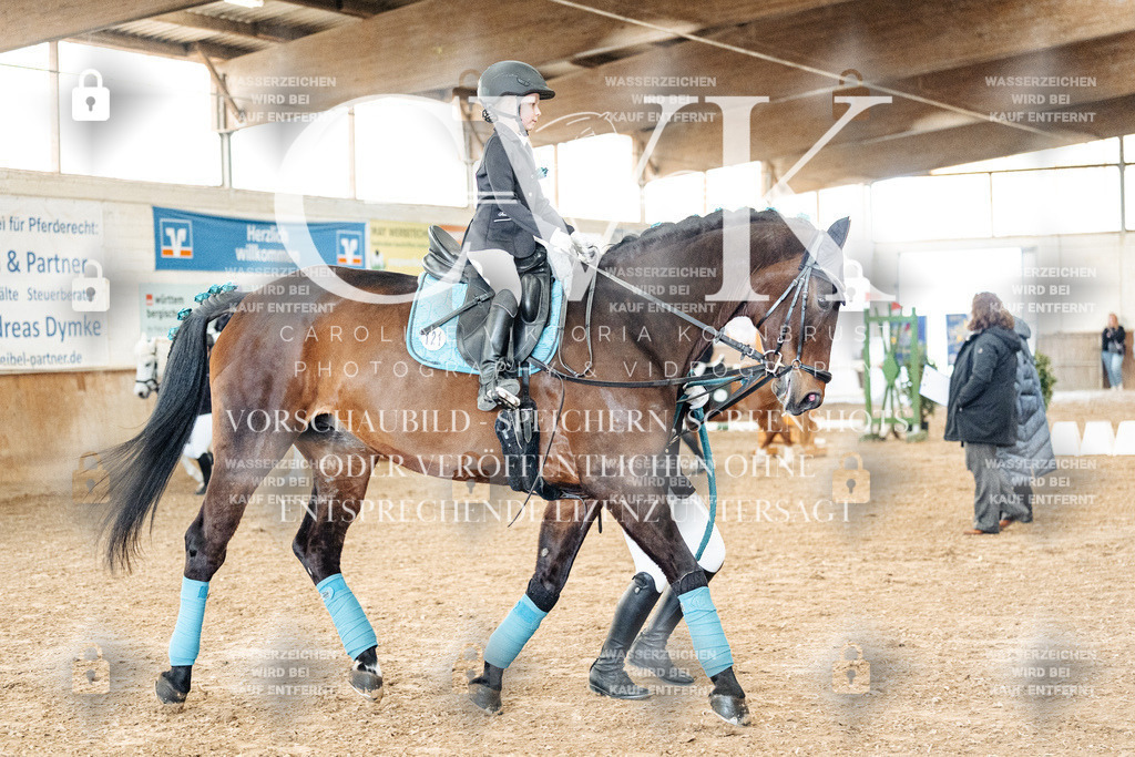 CK905562 | Turnierfotografie Pferdefotografie Trier Rheinland-Pfalz Pferdesport Reitsport Tierfotografie Sportfotografie Pferdevideo Pferdevideografie Equestrianvideography equestrianphotography  - Realized with Pictrs.com