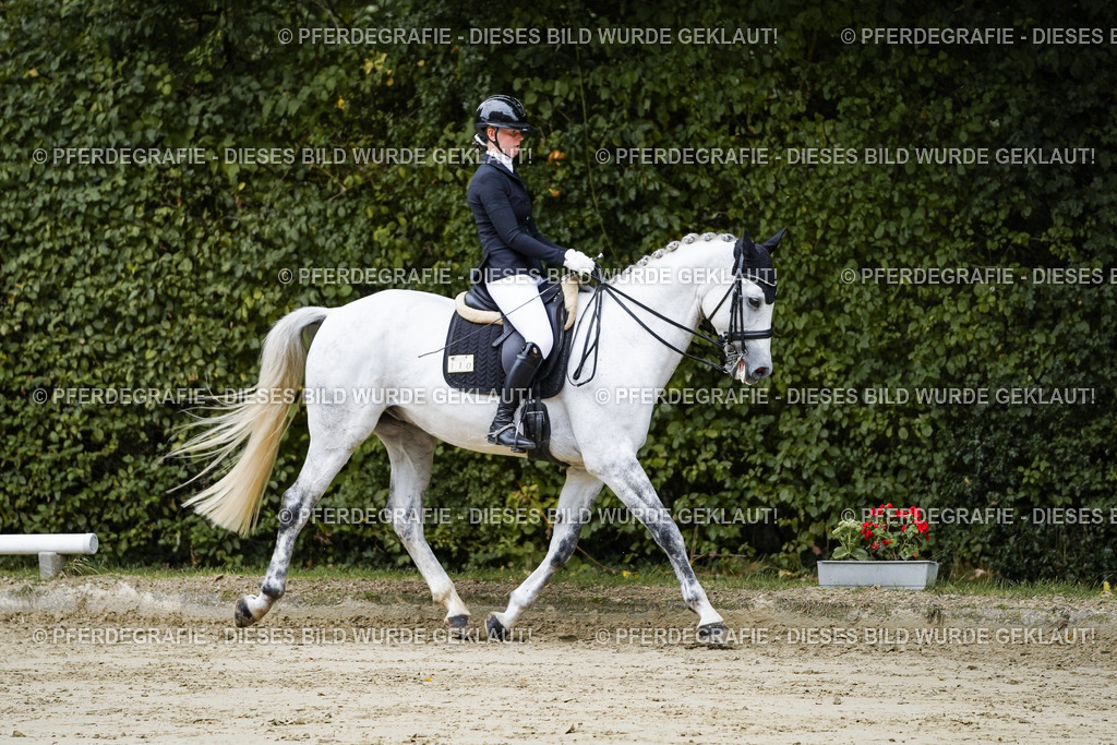 DSC08442 | Pferdegrafie