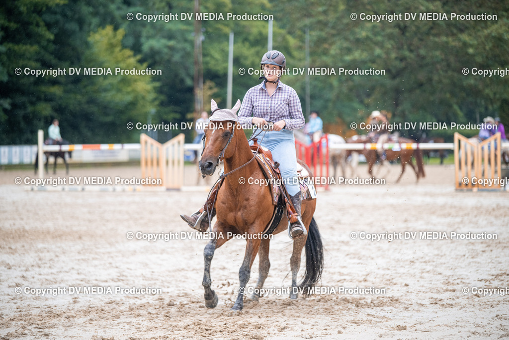 ZS2_4179 | dv-media-shop - Realisiert mit Pictrs.com