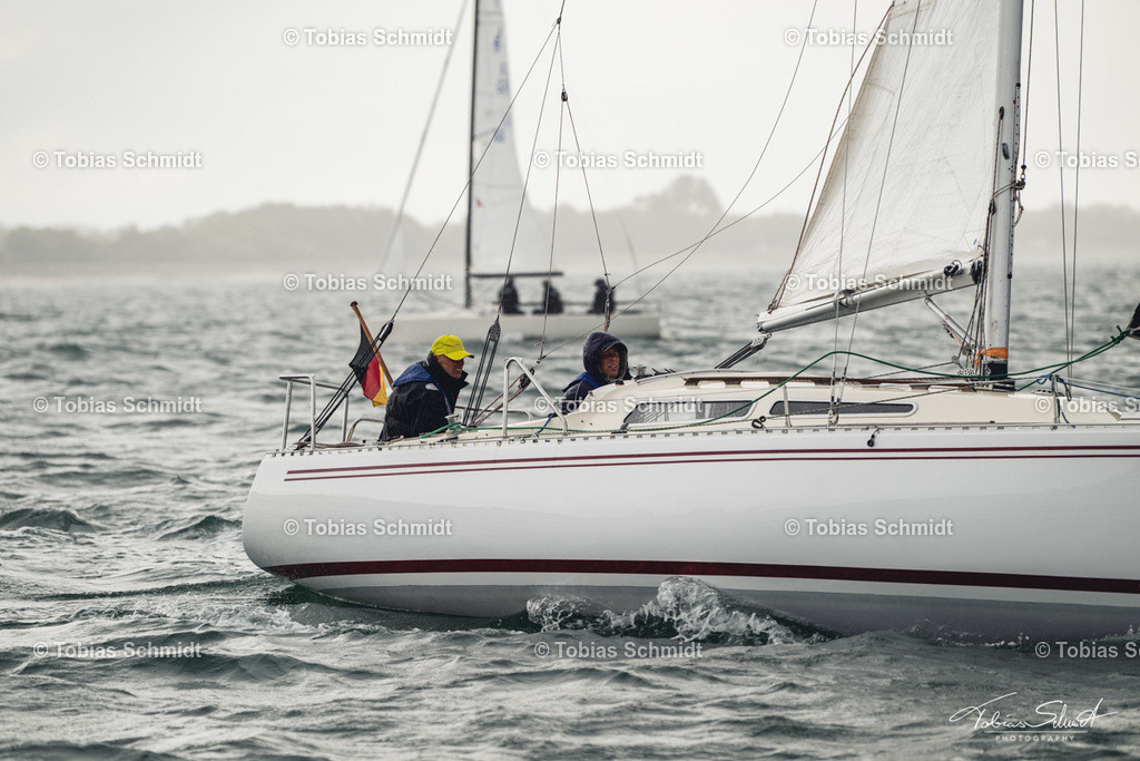 Fehmarn Rund 2025_DSC6730 | Fotoprodukte, Kalender und Wanddeko direkt vom Fotografen auf Fehmarn. Ob Wandbild auf Alu-Dibond, hinter Acrylglas oder auf Leinwand – hier können Sie Ihr Lieblingsbild kaufen. - Realisiert mit Pictrs.com