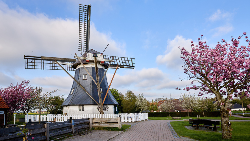 Mühle Werdum | kleinen-fotografie
