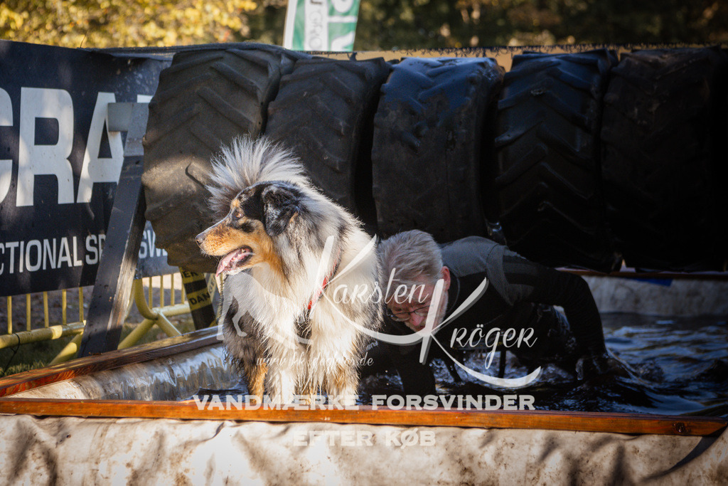 0958_ZZ92348 | kk-dogfotos