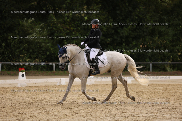HG9A0771 | laurarinckfotografie - Realisiert mit Pictrs.com