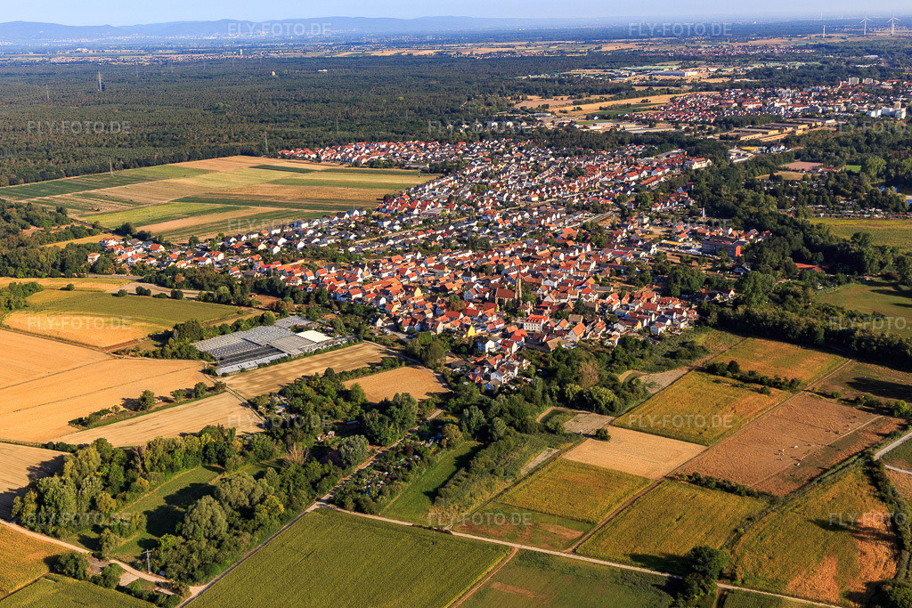 Luftbild: Ortsansicht von Süden im Ortsteil Sondernheim in Germersheim im Bundesland Rheinland-Pfalz in Deutschland. Foto: IMG_134013.jpg vom 21.08.2022 durch Werner Riehm/FLY-FOTO.de