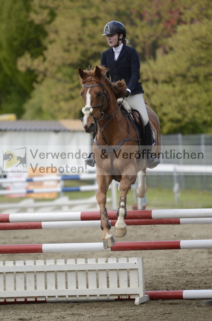 _DSC9154 | equestrian-live-com