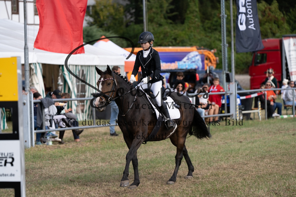 A7V08494 | Pferdefotograf