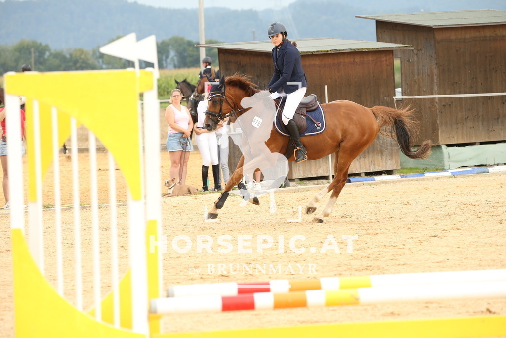 DL2Q3176 | Willkommen bei Brunnmayr - Design & Fotografie – Ihrem Spezialisten für Reitturniere und Pferdeveranstaltungen in Oberösterreich, Salzburg und Bayern! Seit über 17 Jahren sind wir leidenschaftlich dabei.