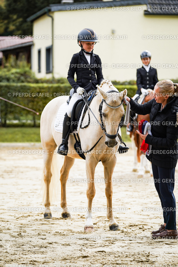 DSC05729 | Pferdegrafie