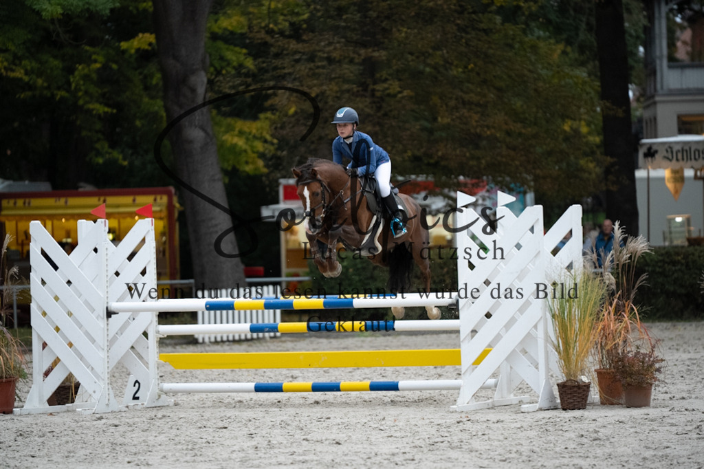 A7V08826 | Turnier/Reitfotograf