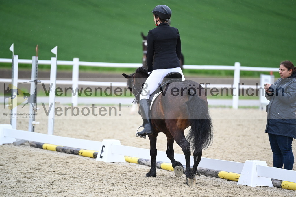 DSC_0209 | equestrian-live-com