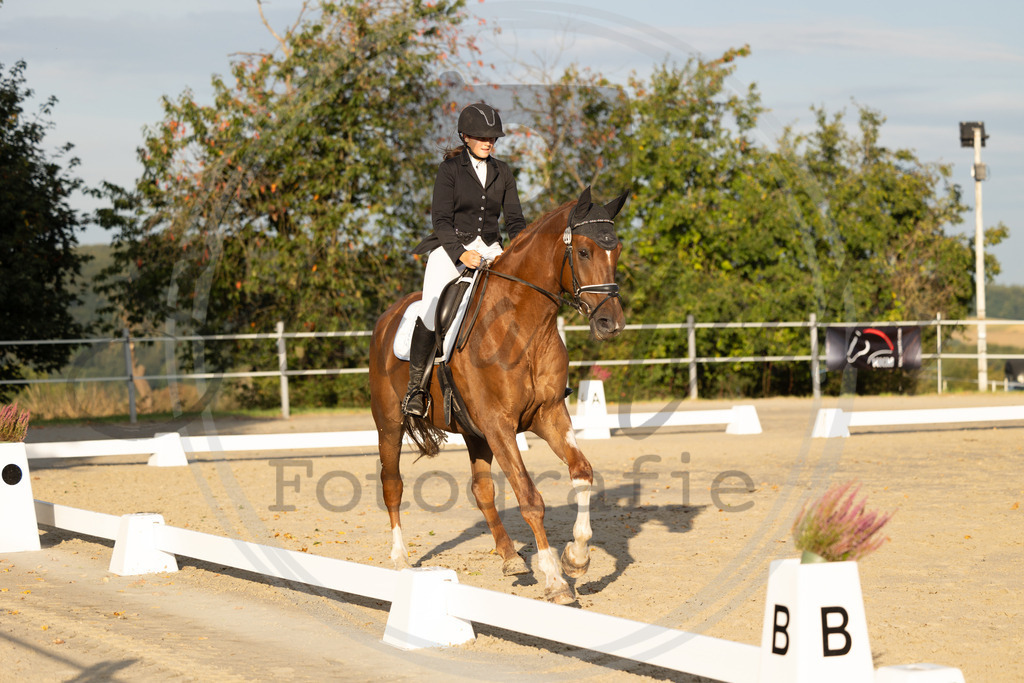 994A0290 | sabrinanicolaifotografie - Realisiert mit Pictrs.com