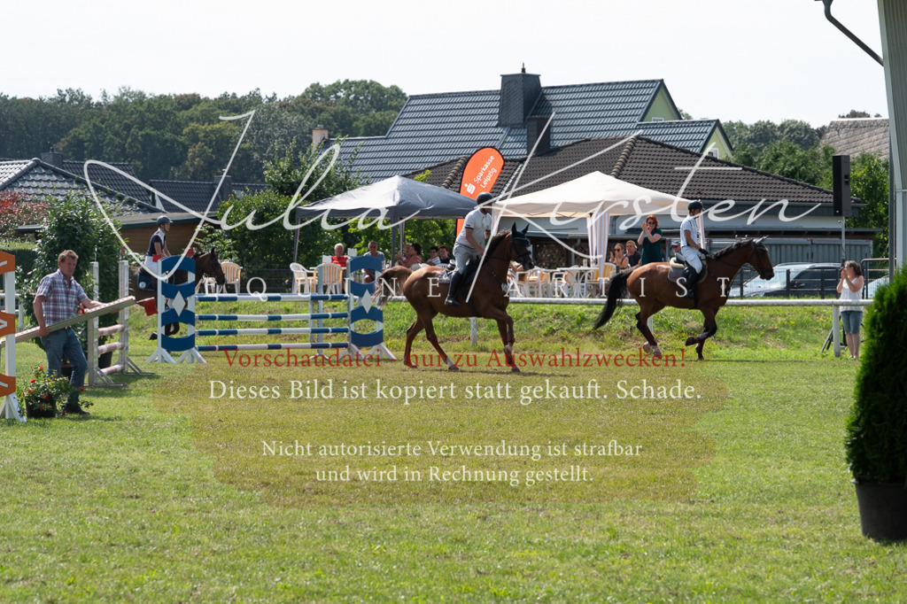 DSC_0704 | Pferde- und Turnierfotografie in Westsachsen. Pferdeportraits, Auftragszeichnungen und intuitive Kunst.