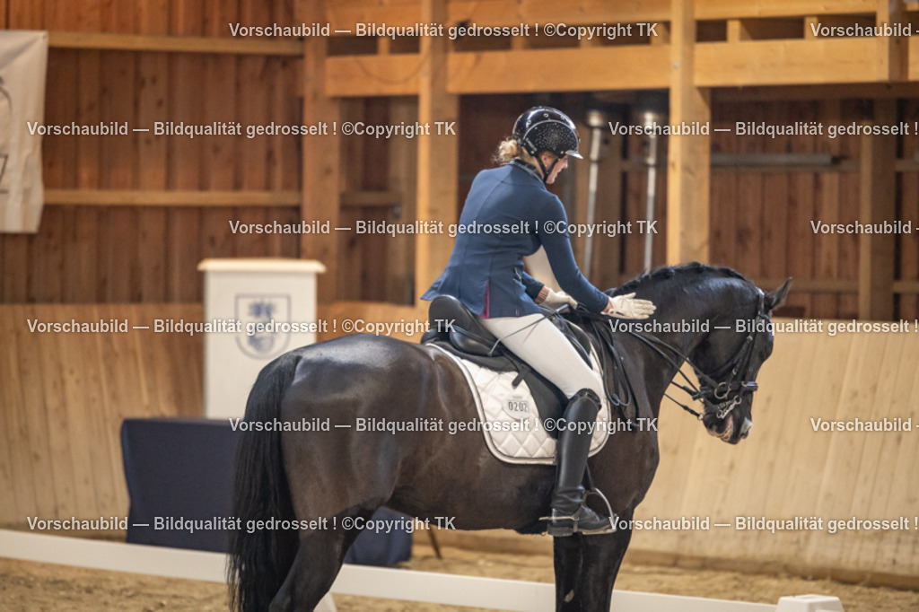 _D5A9269 | Emotionale Pferde- & People-Fotografie rund um Heidelberg, Leimen & Umgebung. Natürliche Fotos von Pferd, Mensch & Familie. Jetzt Termin sichern!