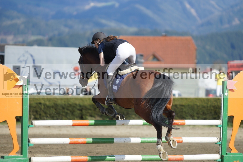 DSC03278 | equestrian-live-com