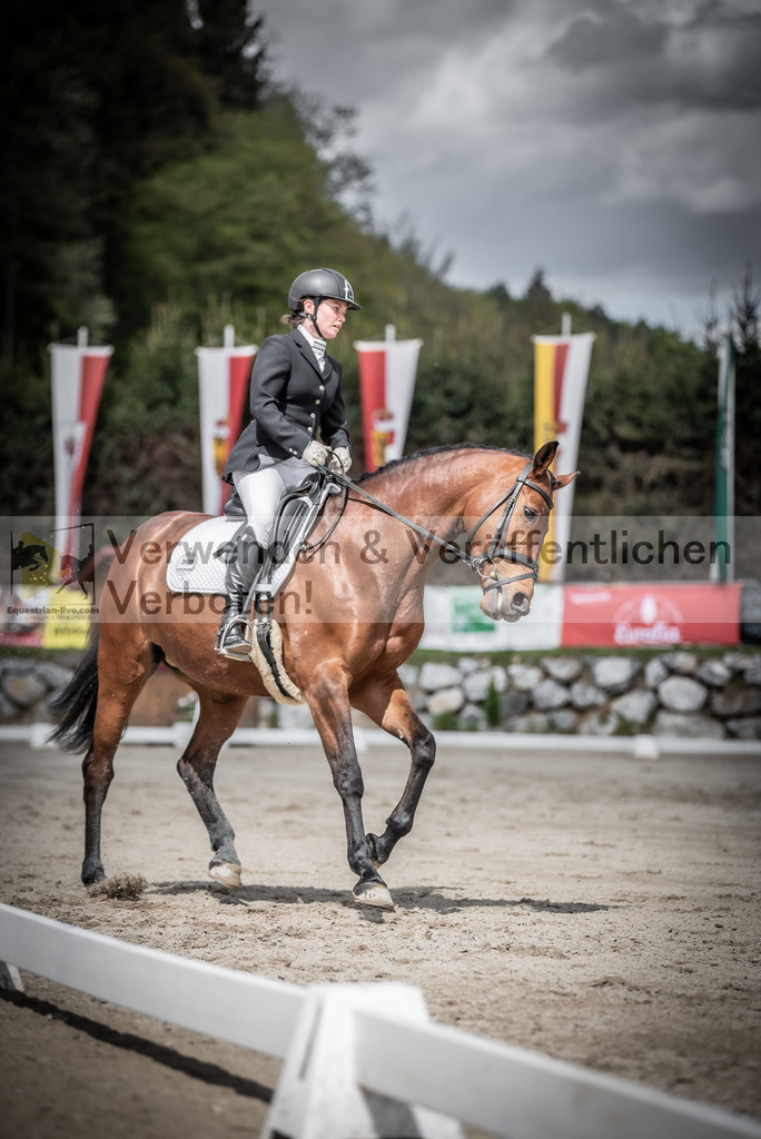 DSC_2378 | equestrian-live-com
