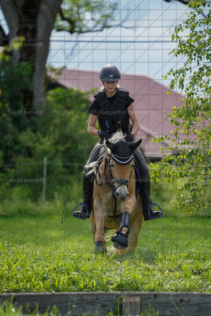 20240622-FAH08021 | Turnierfotografen Bayern, Reitsportbilder aus dem Geländekurs mit Felix Etzel auf dem Gut Waitzacker 2024