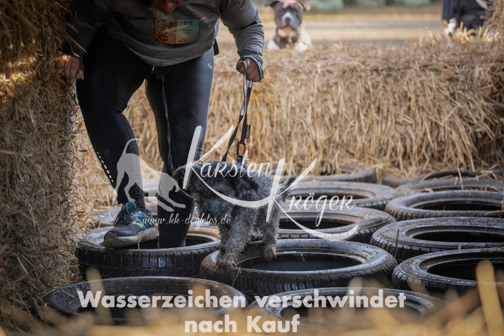 0956_ZZ95659 | kk-dogfotos