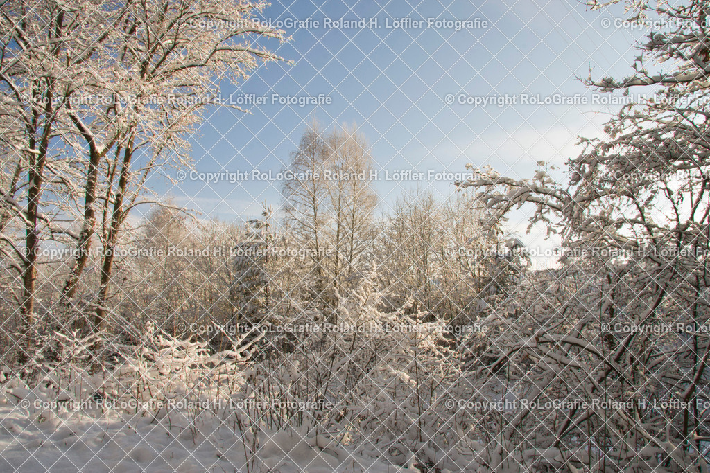 Winter-02 | Schneebedeckte Winterlandschaft - Realisiert mit Pictrs.com