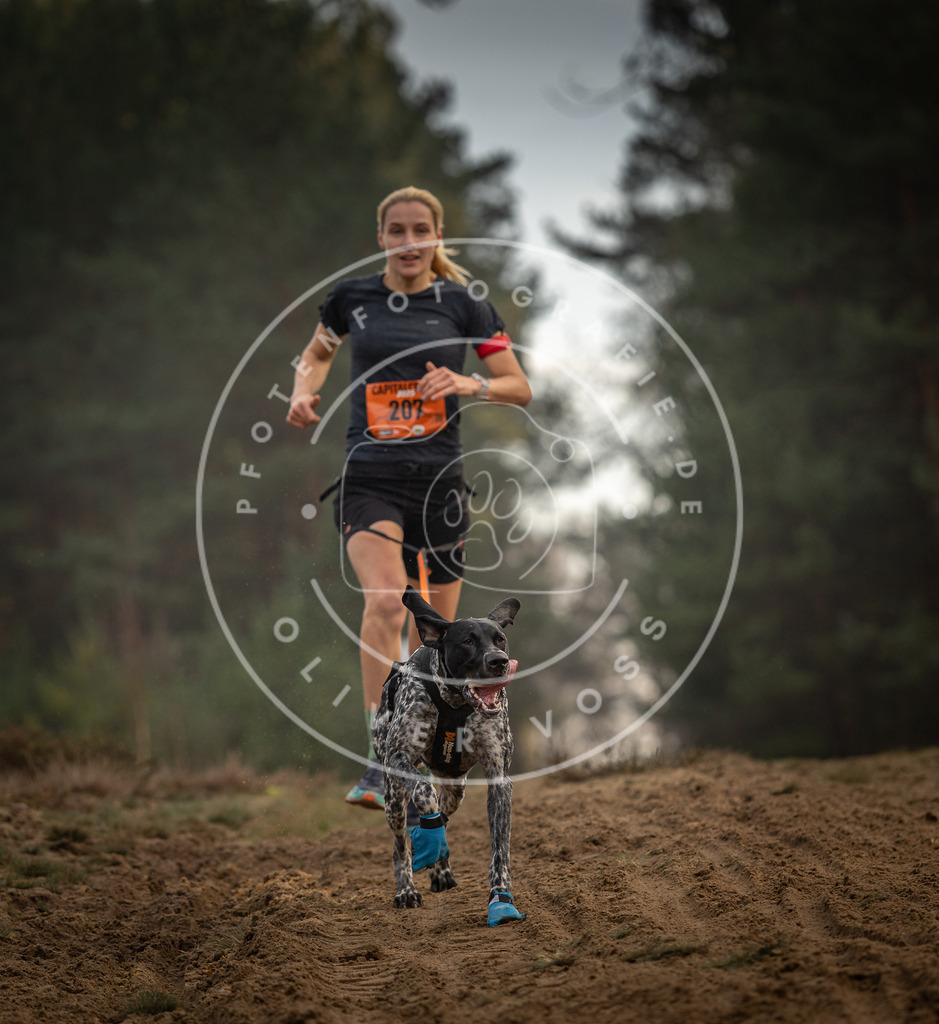 Pfotenfotografie_DV3A5115 | Hundefotografie, Tierfotograf, Pfotenfotografie, Fotoshooting Hund, Hunde Portrait, Hundesport, Hundeportraits, Heideshooting, Hunde, Sportfotograf, Hundefotograf, Turnierhundsport, THS,  - Realisiert mit Pictrs.com