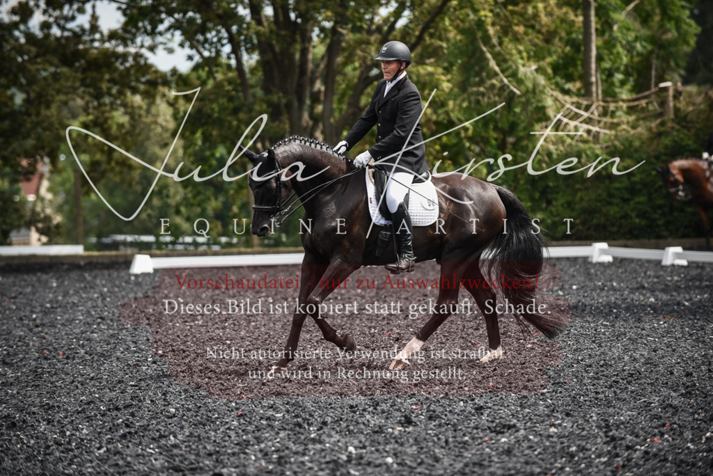 DSC_4953 | Pferde- und Turnierfotografie in Westsachsen. Pferdeportraits, Auftragszeichnungen und intuitive Kunst.
