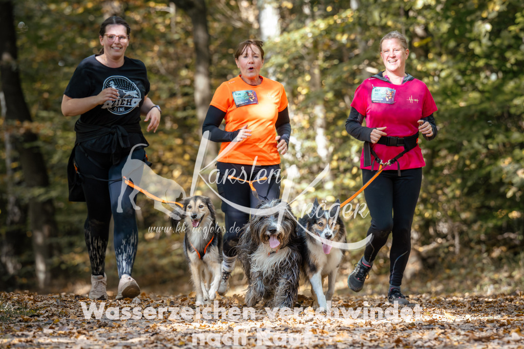 1247_ZZ96231 | kk-dogfotos