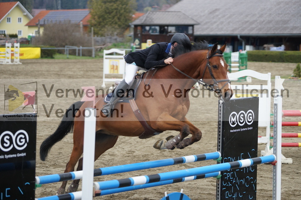 DSC01190 | equestrian-live-com