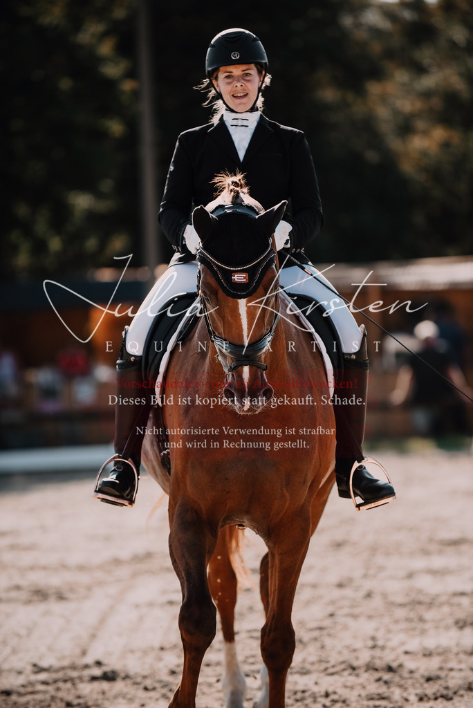 DSC_0458 | Pferde- und Turnierfotografie in Westsachsen. Pferdeportraits, Auftragszeichnungen und intuitive Kunst.