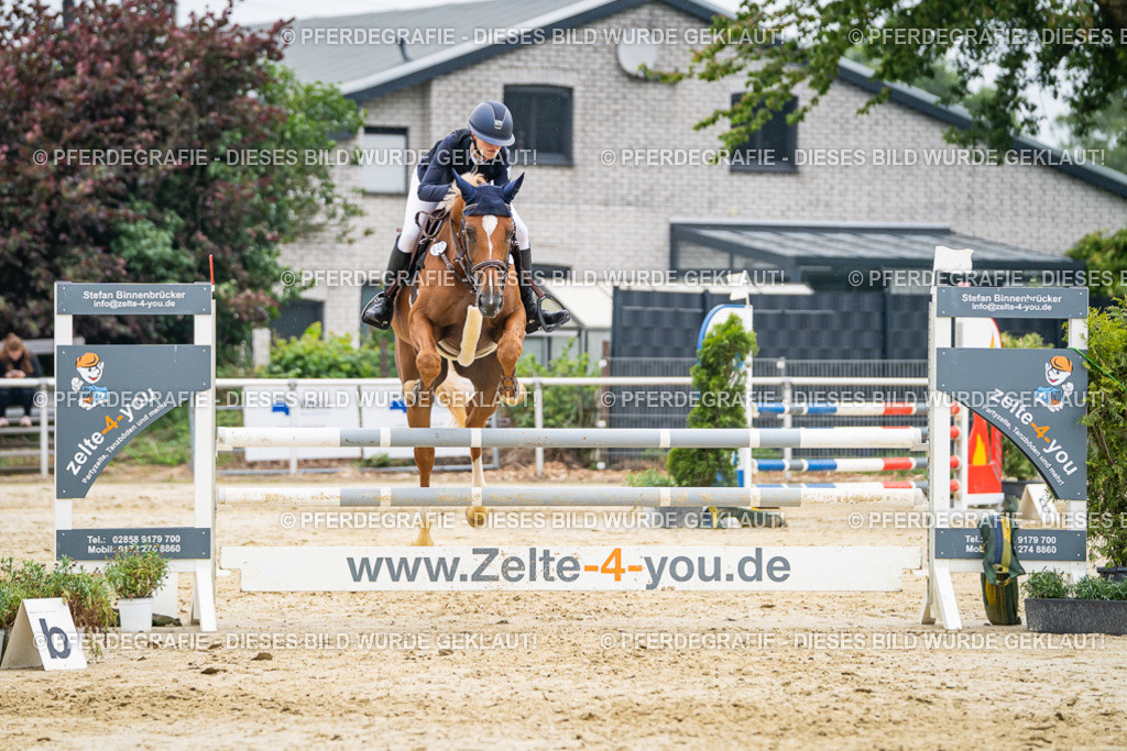 DSC00444 | Pferdegrafie