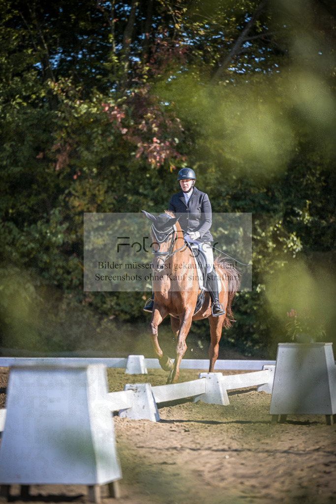 DOS_1190 | Entdecke hochwertige Reitturnierfotos von Foto Oger. Professionell, emotional und authentisch – jetzt Lieblingsmomente im Shop bestellen.Deutschlandweite Turnierfotografie. - Realisiert mit Pictrs.com