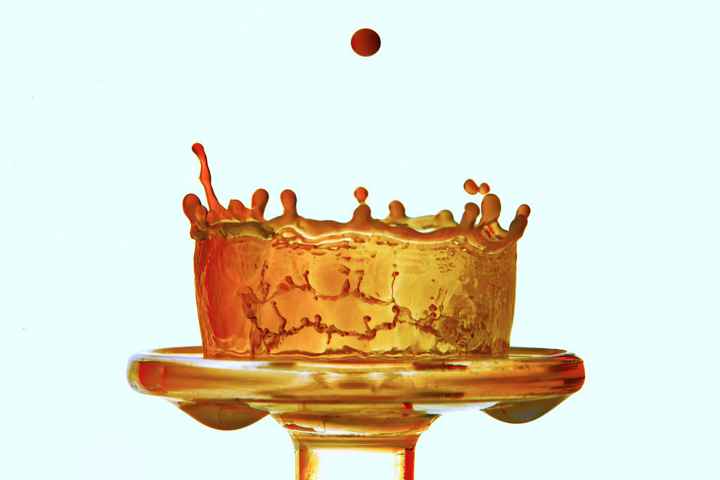 Tropfen-04 | In diesem Shop werden vorwiegend künstlerisch hochstehende Aufnahmen aus dem Bereich der Naturfotografie zum Verkauf angeboten. - In this store mainly artistic high quality shots from the field of nature photography are offered for sale. - Realisiert mit Pictrs.com