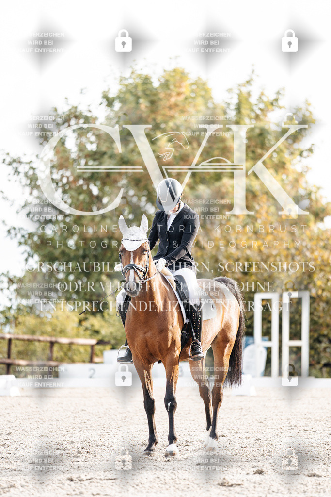 CK900380 | Turnierfotografie Pferdefotografie Trier Rheinland-Pfalz Pferdesport Reitsport Tierfotografie Sportfotografie Pferdevideo Pferdevideografie Equestrianvideography equestrianphotography  - Realisiert mit Pictrs.com