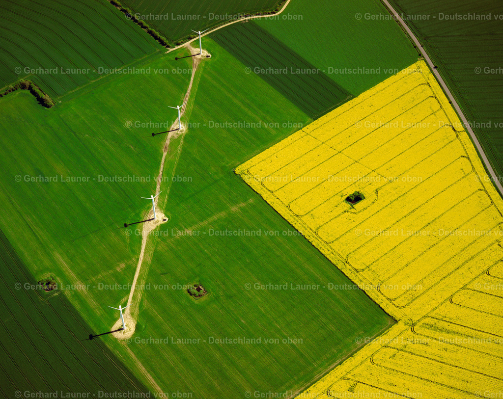 7000589 | Fehmarn, Windräder, Raps