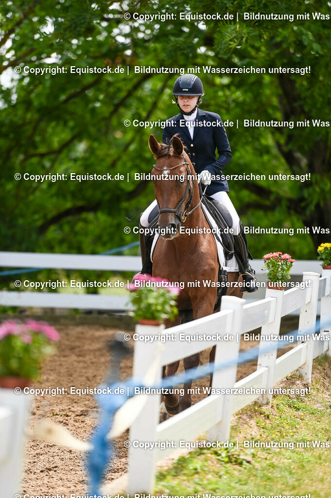 20230716_03_Dressurprfg. Kl.L - Tr._0391 | equistock
