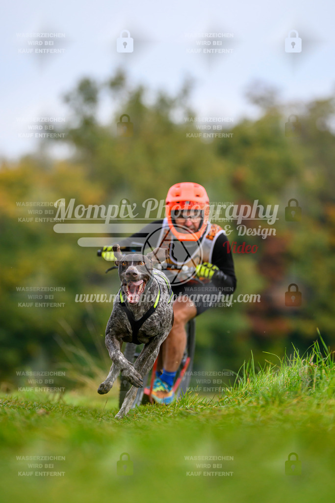 MompixPhotography_CDLBDB2025_DI_DS-42 | PayLife