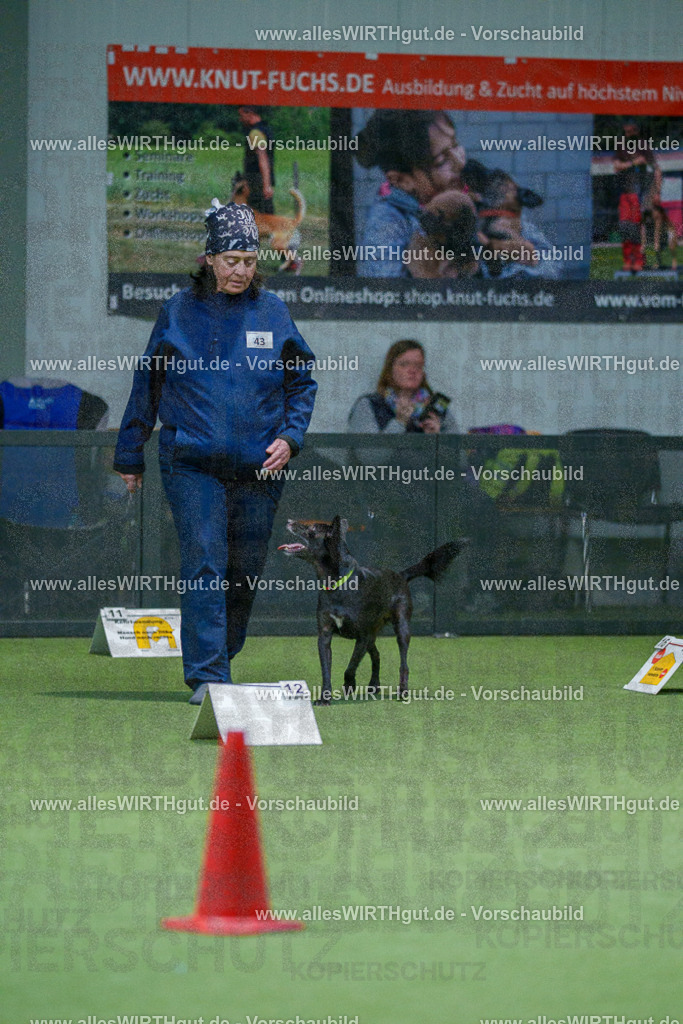 7R501223 | Professionelle Tierfotografie in Mönchengladbach von Daniel Wirth (allesWIRTHgut). Liebevolle & natürliche Bilder von Hunden & Katzen für unvergessliche Erinnerungen.