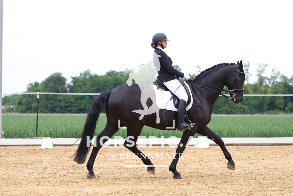 0P6A4484 | Willkommen bei Brunnmayr - Design & Fotografie – Ihrem Spezialisten für Reitturniere und Pferdeveranstaltungen in Oberösterreich, Salzburg und Bayern! Seit über 17 Jahren sind wir leidenschaftlich dabei.
