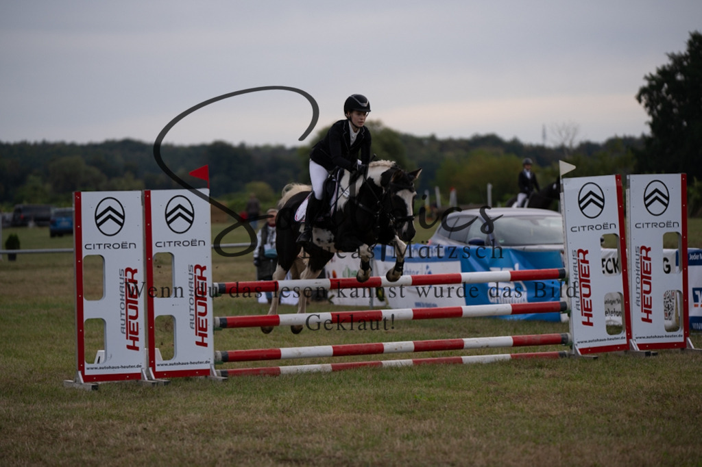 A7V07929 | Pferdefotograf