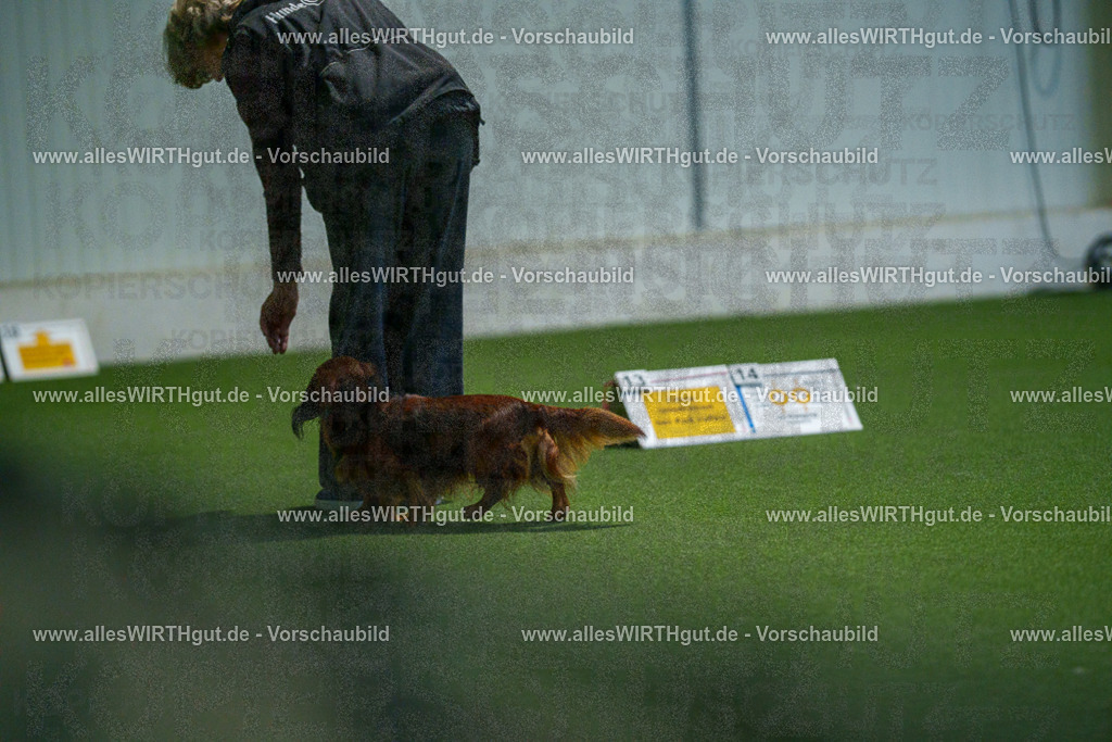 7R503687 | Professionelle Tierfotografie in Mönchengladbach von Daniel Wirth (allesWIRTHgut). Liebevolle & natürliche Bilder von Hunden & Katzen für unvergessliche Erinnerungen.