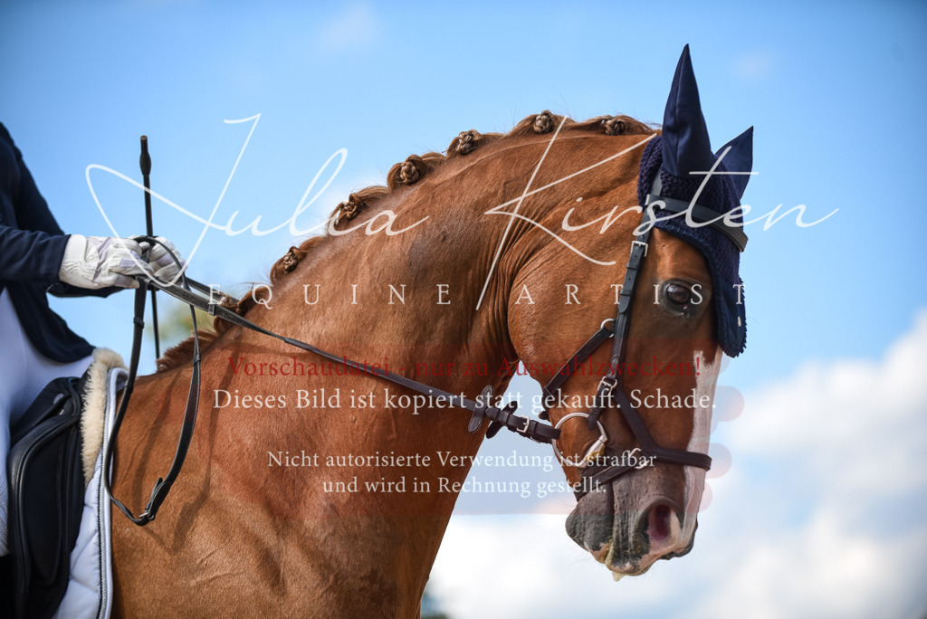 DSC_9390 | Pferde- und Turnierfotografie in Westsachsen. Pferdeportraits, Auftragszeichnungen und intuitive Kunst.