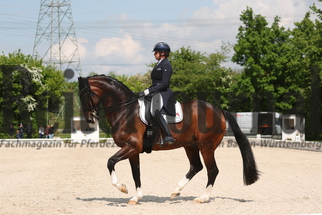 Ludwigsburg_2023_Prfg.Nr.01_Dressur_Kl.S_Kurz GrandPrix_Dorothee Schneider_Dayman 4 (15) | Alle Fotos der Reiterjournal Fotografin Doris Matthaes im Reiterjournal Online-Fotoshop. - Realizado com Pictrs.com