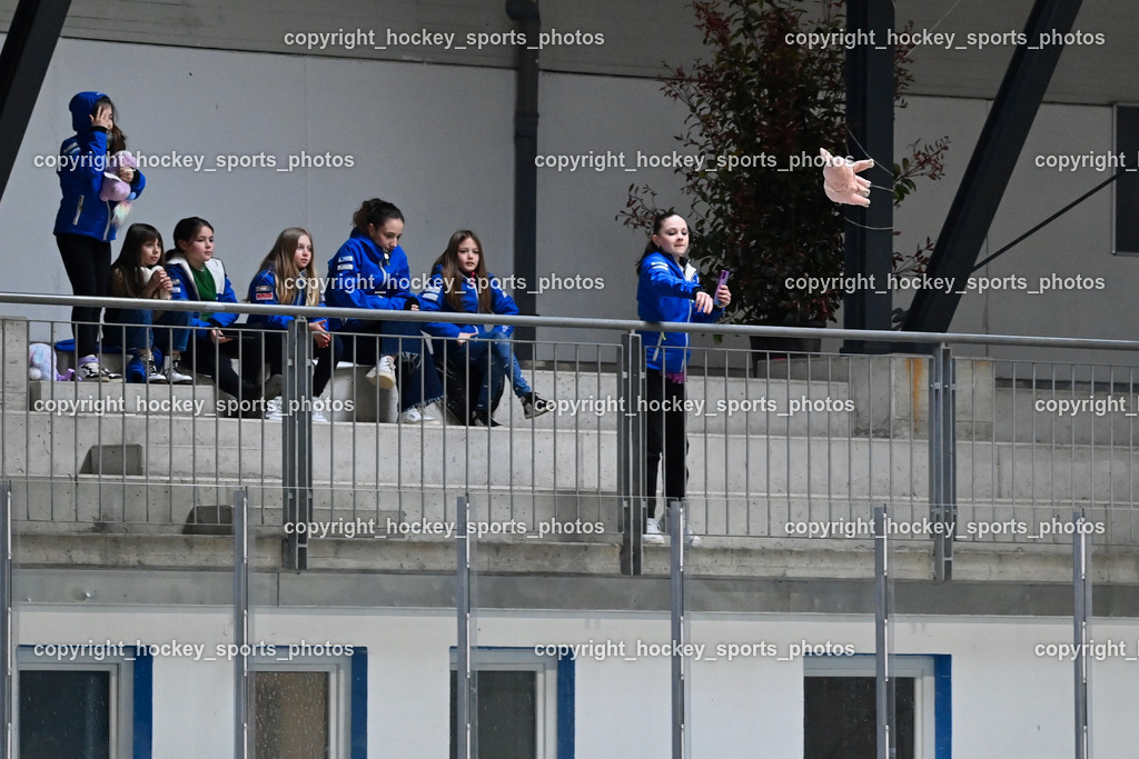 Ossiachersee Pirouette ESC Steindorf 31.3.2024 | Ossiachersee Pirouette ESC Steindorf 31.3.2024, Ossiachersee Pirouette ESC Steindorf am 31.03.2024 in Steindorf (Ossiachersee Halle), Austria, (Photo by Bernd Stefan)