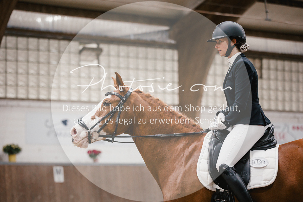 3I6A6453 | Stimmungsvolle Portraits und Reitsportfotografie im Ruhrgebiet und im Münsterland.

Pferdefotografie, Hundefotografie, Tierfotografie, Reportagen, Portraits von Tier und Mensch, Turnierfotografie in Bochum, Recklinghausen, Marl, Haltern am See, Dülmen.. - Realisiert mit Pictrs.com