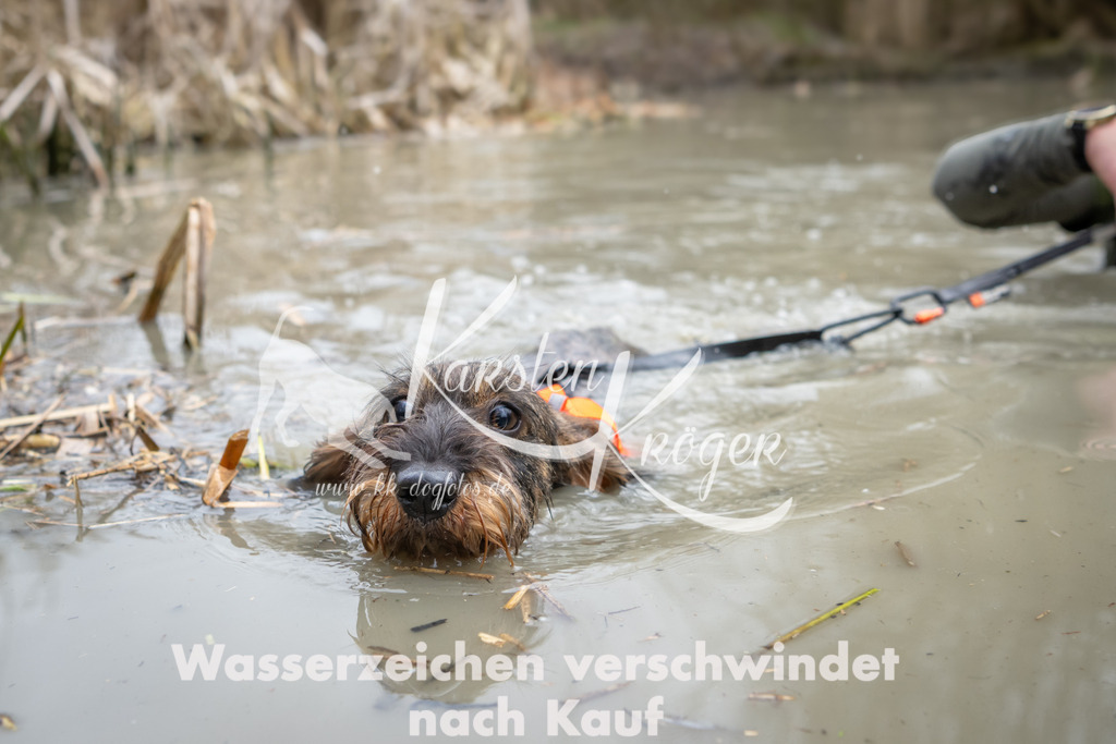 1417_ZZ98008 | kk-dogfotos