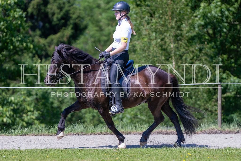 KAI05507 | Ihr sucht einen Fotografen für eure nächste OSI? Ich begleite auch euer Turnier für Islandpferde fotografisch.  - Realisiert mit Pictrs.com