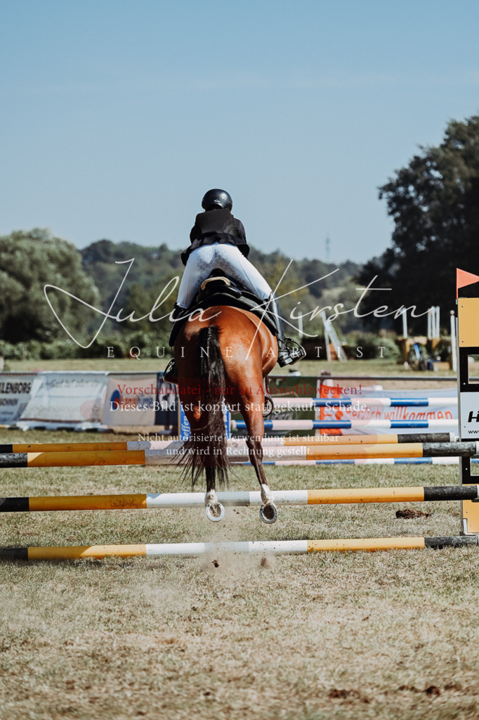 DSC_9782 | Pferde- und Turnierfotografie in Westsachsen. Pferdeportraits, Auftragszeichnungen und intuitive Kunst.