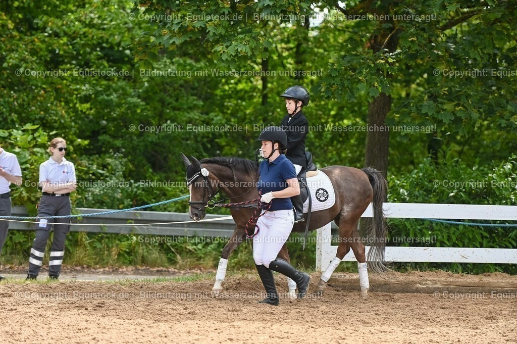 20230716_11_Führzügel-WB_0072 | equistock