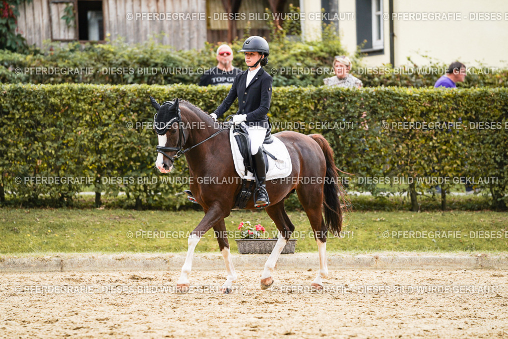 DSC00733 | Pferdegrafie