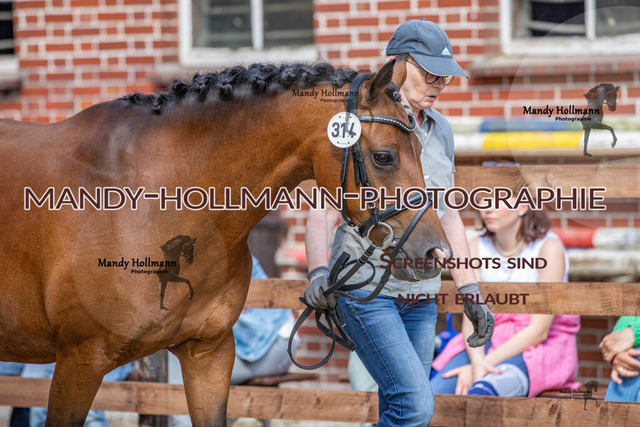 IMG_4944 | mandyhollmannphotographie